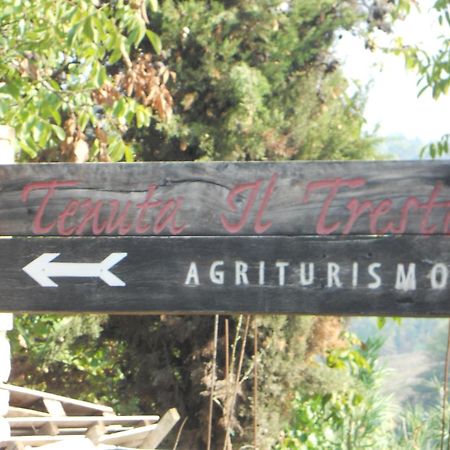 Tenuta Il Tresto ポッジボンシ エクステリア 写真