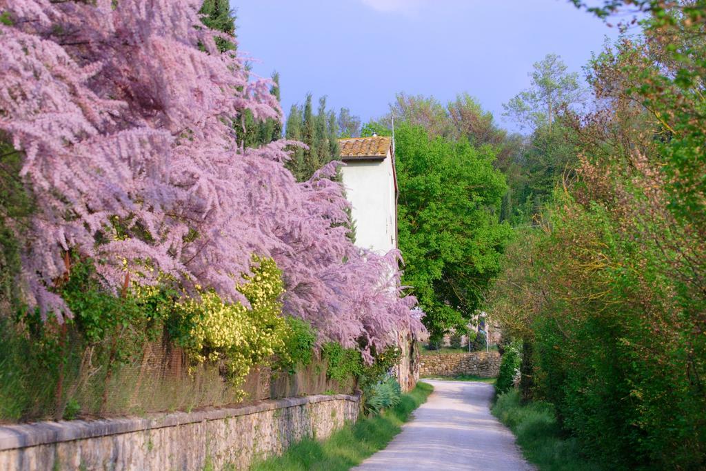 Tenuta Il Tresto ポッジボンシ エクステリア 写真