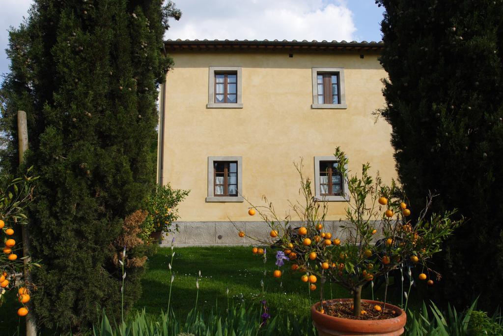 Tenuta Il Tresto ポッジボンシ エクステリア 写真
